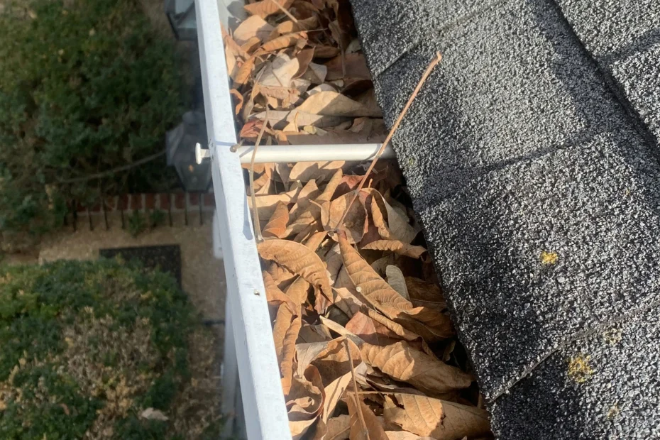 Gutter Cleaning Montreat